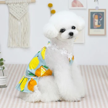 Sweet lemon Pisica Rochii Haine de Câine Pentru Mici Câini de talie Mare Catelus Fusta de Moda de Vara Câine Rochie de îmbrăcăminte
